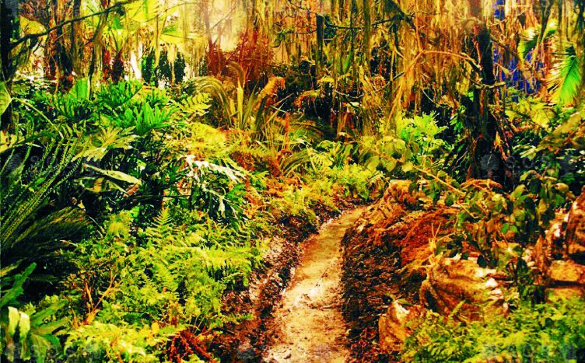 Имитация джунглей, демонстрационный зал Прага