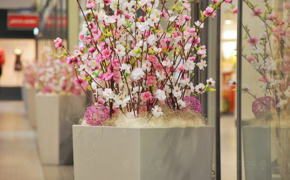 Весенние декорации, Černá Růže