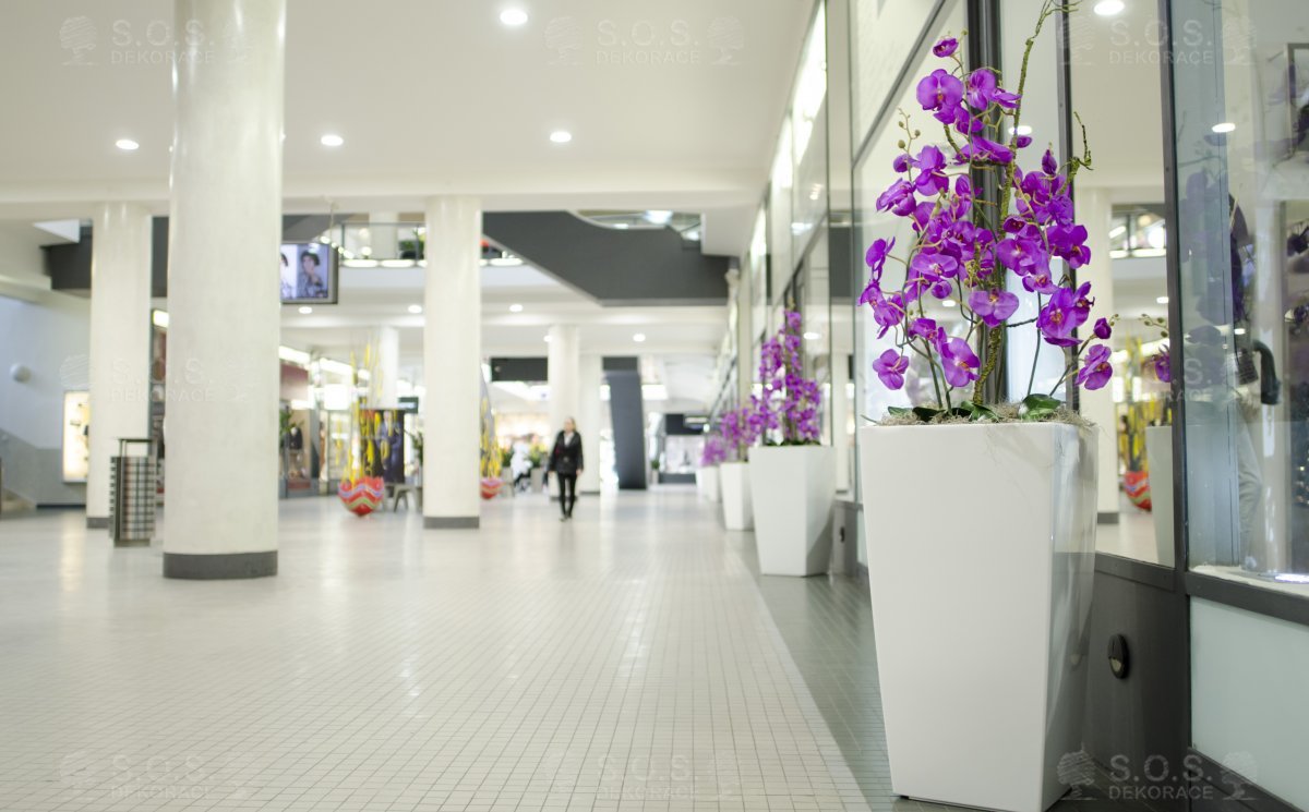 Летние декорации