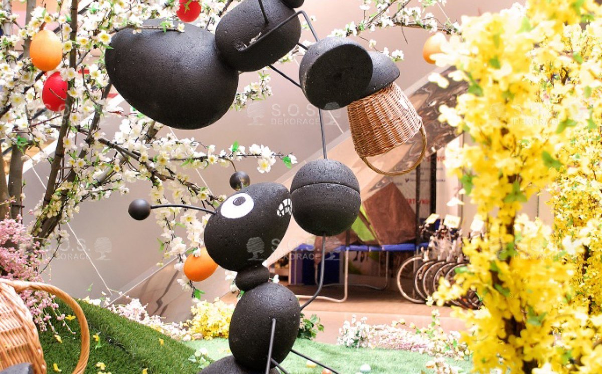 Весенние декорации, Černá Růže