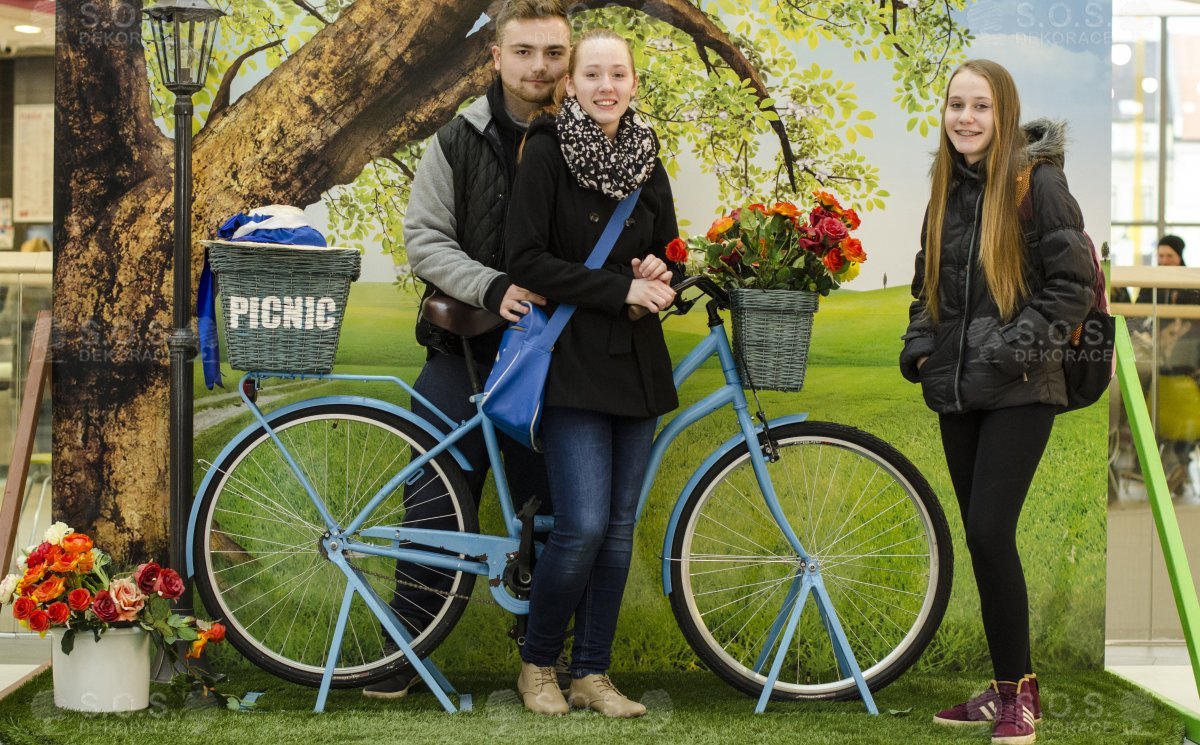 Весенние декорации, Galerie Teplice